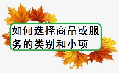 如何選擇商品或服務(wù)的類(lèi)別和小項(xiàng)