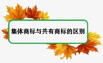 集體商標與共有商標的區(qū)別